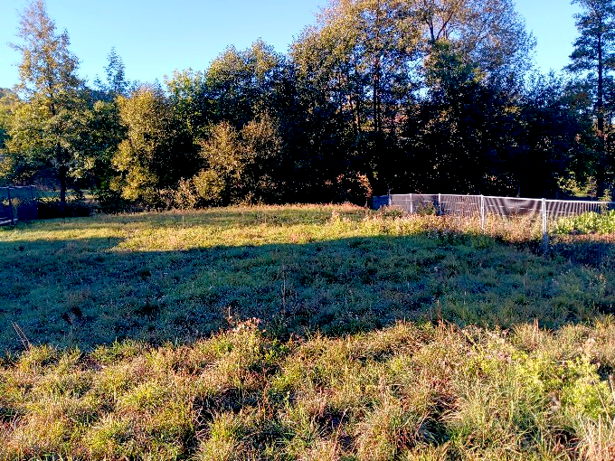 Baugrundstück Hallwangen 2